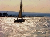 coming-home-poole