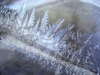 ice-crystal-ice-6815