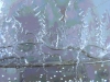 ice-crystal-ice-6837