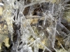 ice-crystals-6468