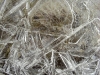 ice-crystals-6479