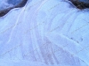 ice-scape-6500