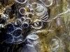 ice-visual-ice-5995
