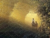 misty-morning-exercise