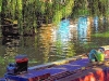 reflection-on-the-cam11