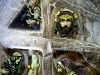 rs-the-birth-death-of-christ-in-ice