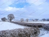 snow-hopton-heath-6058