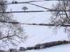 snow-over-fields-hh