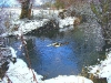 snow-river-clun-with-ducks