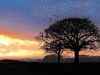 sunset-church-lane-6800-pan-hartgrove-dorset_1