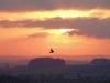 sunset-over-vale-hartgrove-dorset_2