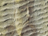 uig-chessman-king-beneath-the-sands_2