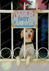 dogs-of-war