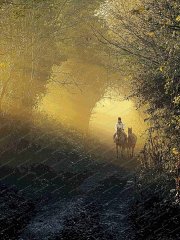 misty-morning-exercise