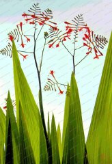 springhead-monbretia
