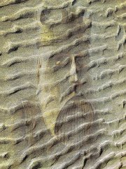 uig-chessman-king-beneath-the-sands_2