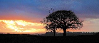 sunset-church-lane-6800-pan-hartgrove-dorset_1