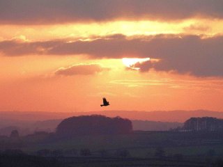 sunset-over-vale-hartgrove-dorset_2