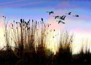 sunset-reflection-on-stour-with-swans-card_1