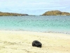 fishing-buoy-on-bereigh-beach-07273