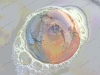 misc-eye-in-bubble