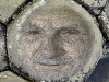 ni-giants-face