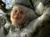 totem-2-painted-lady-in-tree