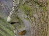 totem-the-watcher